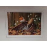 A superb painted Watercolour of a robin sitting on a sieve in a garden setting by Neil Cox signed