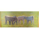 A really good Oil on Canvas of Calves in a field by Gemma Guihan.