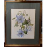 A really good pair of Still Life Watercolours of Clematis and Foxglove by Alison Wilson. 25 x 40cm
