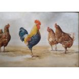 Malcolm John - Oil on Canvas - Cockerel and chickens, signed and dated '77 lower right, 50cm x