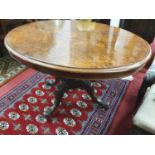 A Victorian Walnut figured and burr Walnut veneered tilt top breakfast table of oval form with