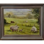 An Oil on Canvas of sheep in a paddock. Signed indistinct LL. 32(H) x 41 (W) cms approx.