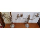 A good pair of 19th Century Silver Plated twin branch Candelabra raised on circular bases. w 45 x