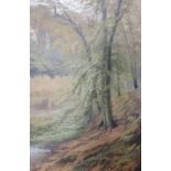 A large Oil on Canvas of a Forest scene by Smits. Signed LR. 75 x 51 cm approx.