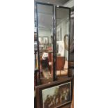 A lovely pair of 19th Century shop Vanity Mirrors in ebony frames. 30 x 213 cm approx.