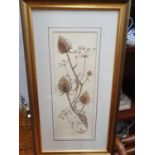 A still life Watercolour of a Thistle by Pam Patrick. Signed mid bottom. 14 x 37 cm approx.