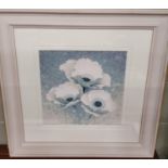 A lovely well framed Coloured Print of Poppies. 68 x 68 cm approx.