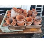 A large quantity of Terracotta Pots in timber Trays.