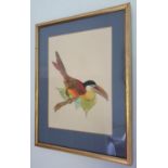 Two early 20th Century Watercolours on Paper of Birds with a Cambridge Art Gallery label verso. 28 x