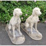A Fabulous pair of Stone Hounds sitting in repose with their catch at their feet. H92 x D104 x W42cm