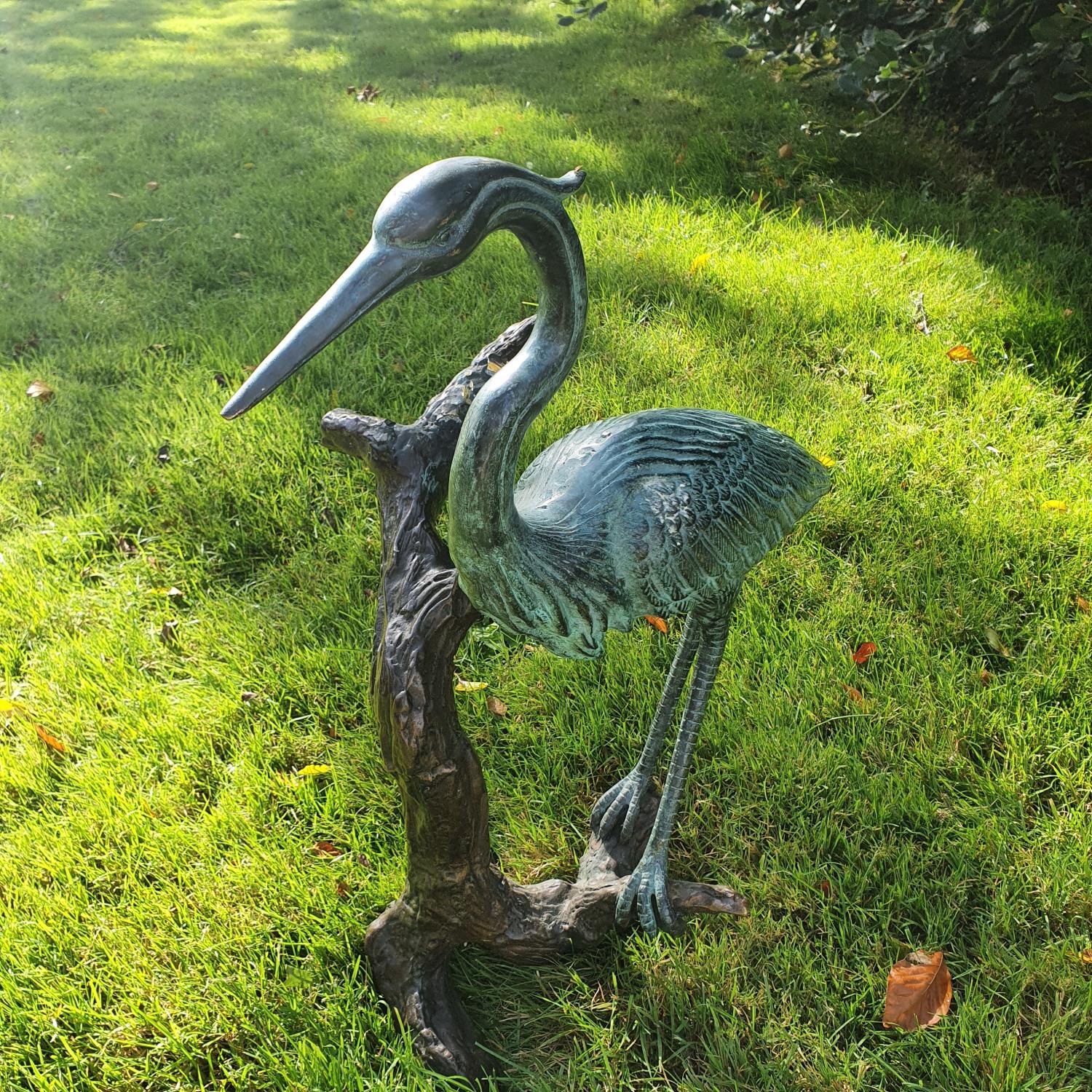 A fabulous Bronze Crane standing on a branch.