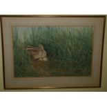 Two really good Watercolours by Sue Goodchild. A Harvest Mouse. Signed and dated '85. 37 x 54cm