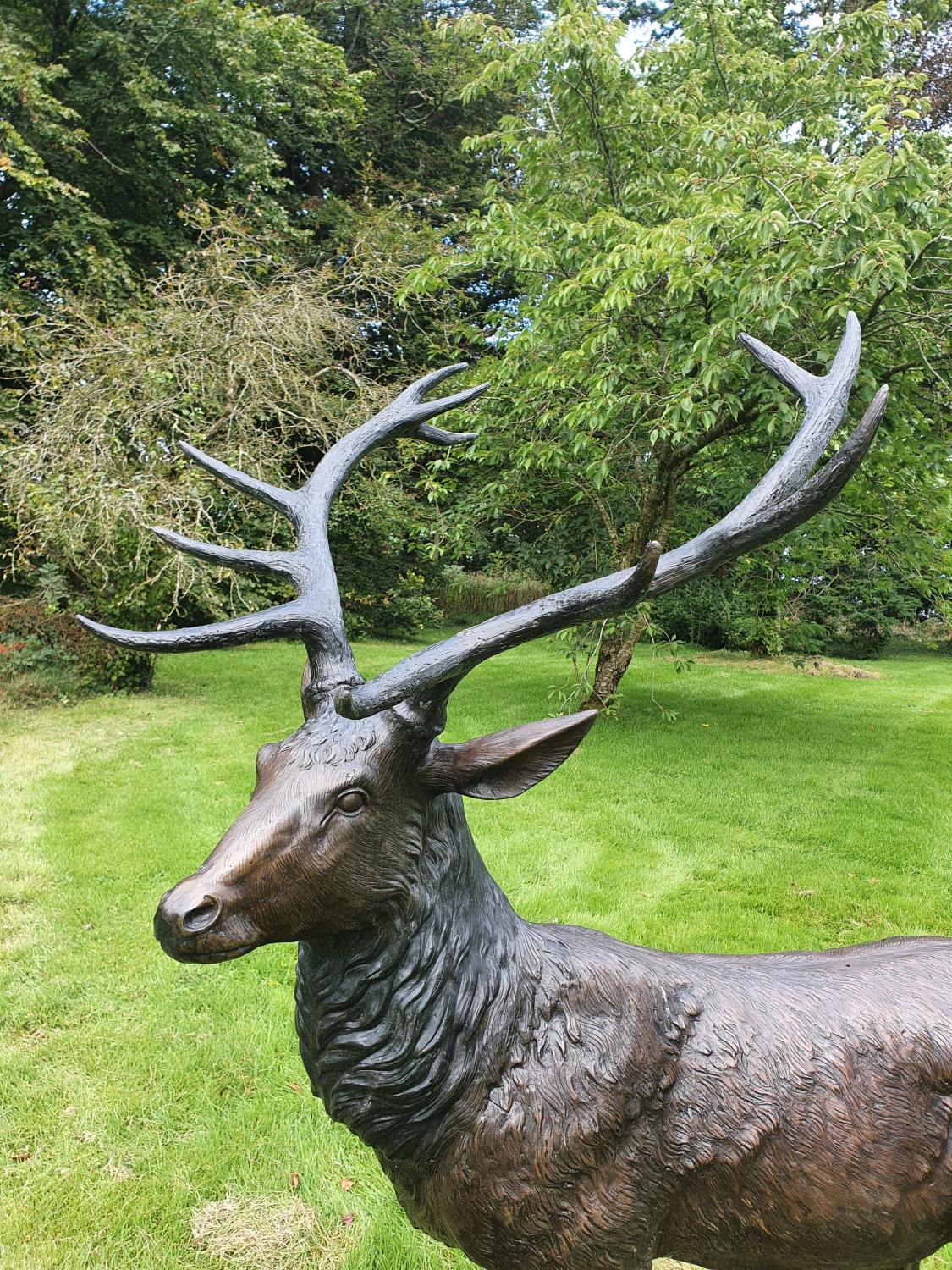 A Fabulous Bronze Stag with fantastic detailing. H171 XD95 x W133cm approx. - Image 2 of 2