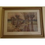 R Hamilton Chapman. A 19th Century Watercolour of Ducks in a pond. Signed and dated LR. 1885. 32 x