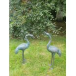 A Fabulous pair of Bronze Cranes with highly moulded detail.