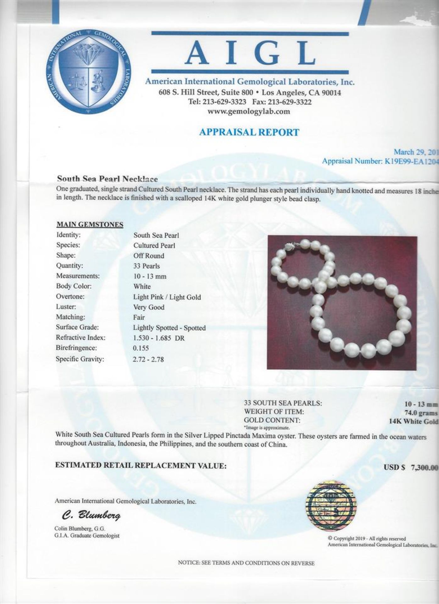 South Sea Pearl Necklace - 14KT White Gold - Image 3 of 3