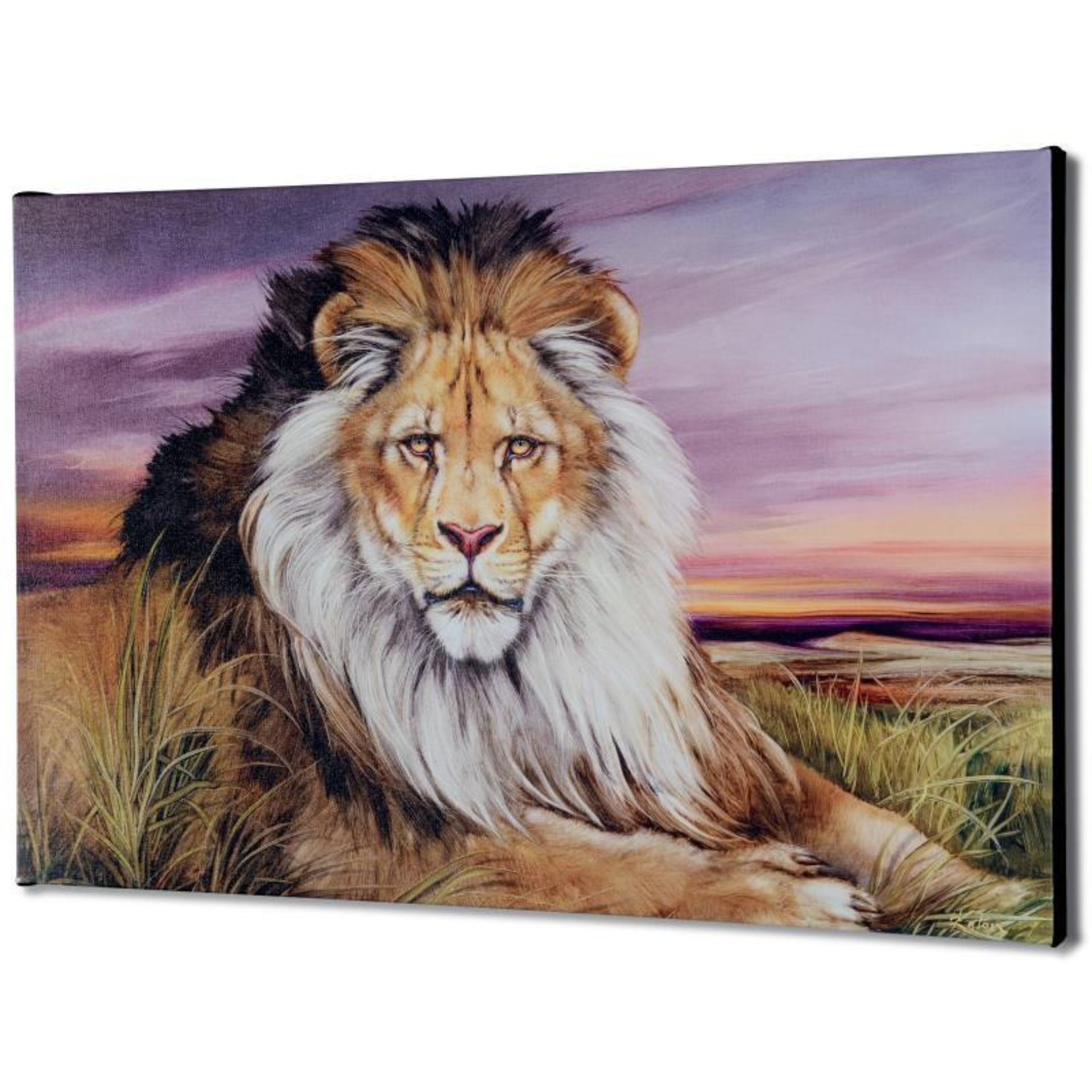 "African Lion" Limited Edition Giclee on Canvas by Martin Katon, Numbered and Ha - Image 2 of 2