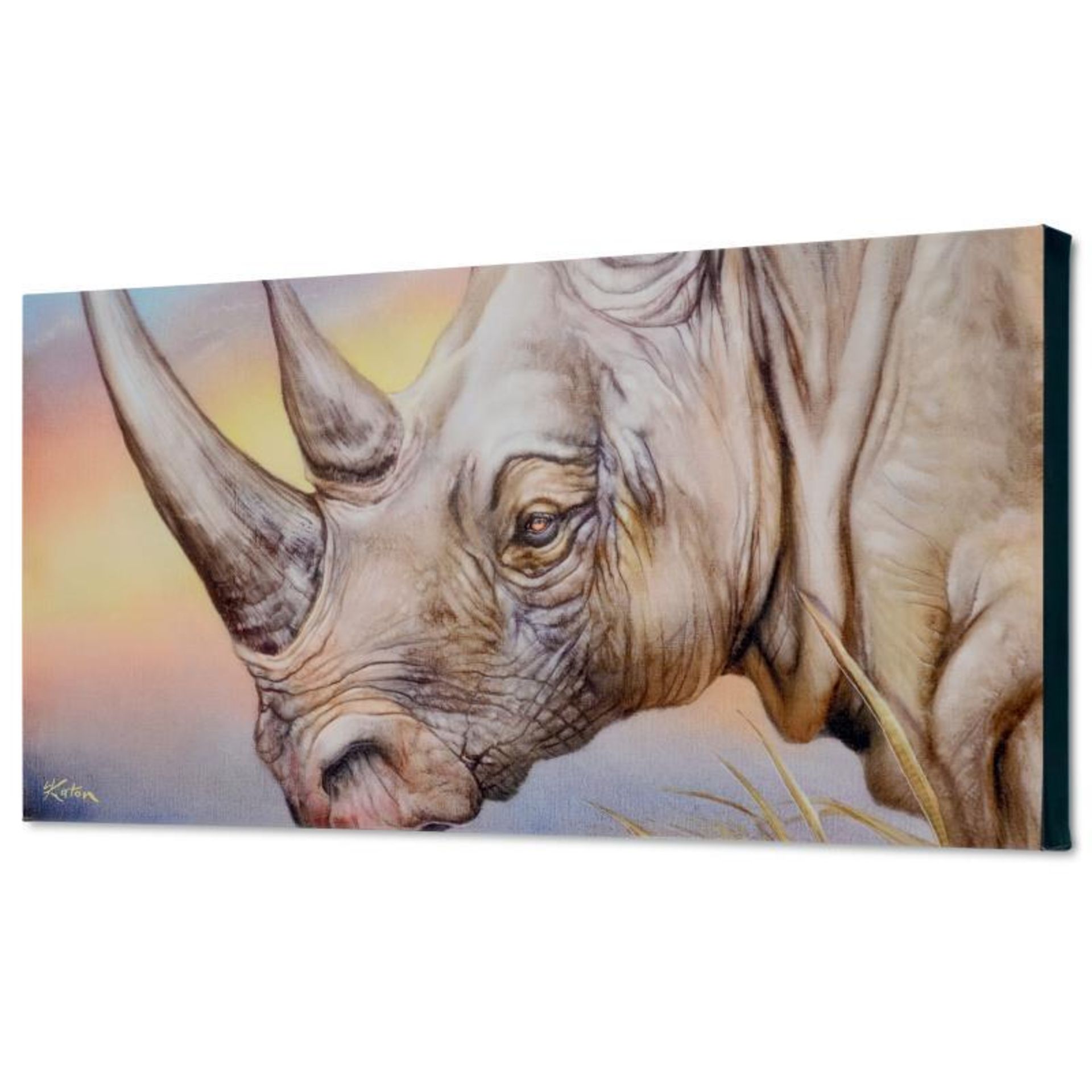 "White Rhino" Limited Edition Giclee on Canvas by Martin Katon, Numbered and Han - Image 2 of 2