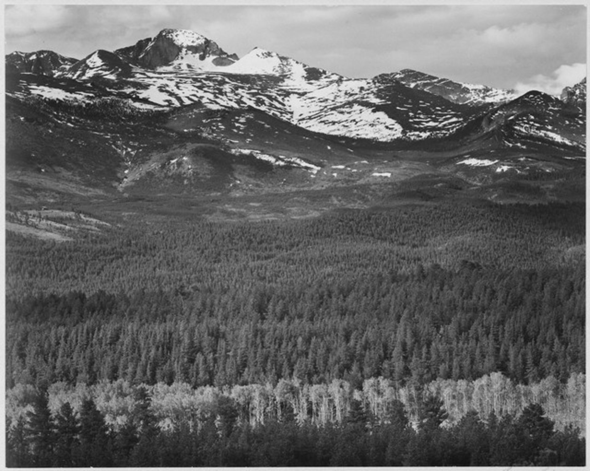 Adams - Rocky Mountain National Park Colorado