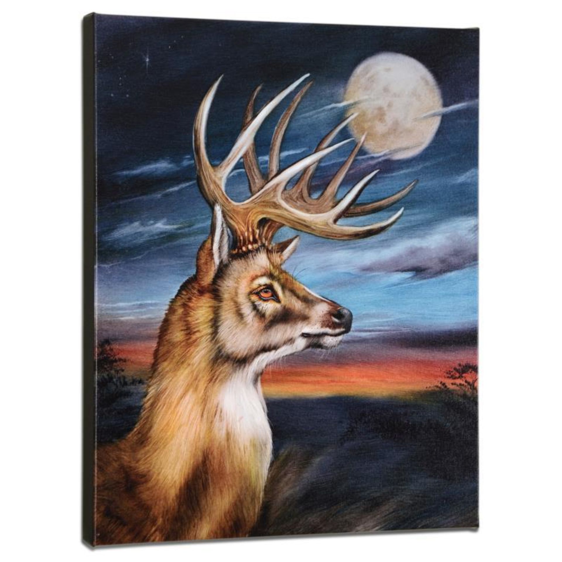 "White Tail Moon" Limited Edition Giclee on Canvas by Martin Katon, Numbered and - Image 2 of 2