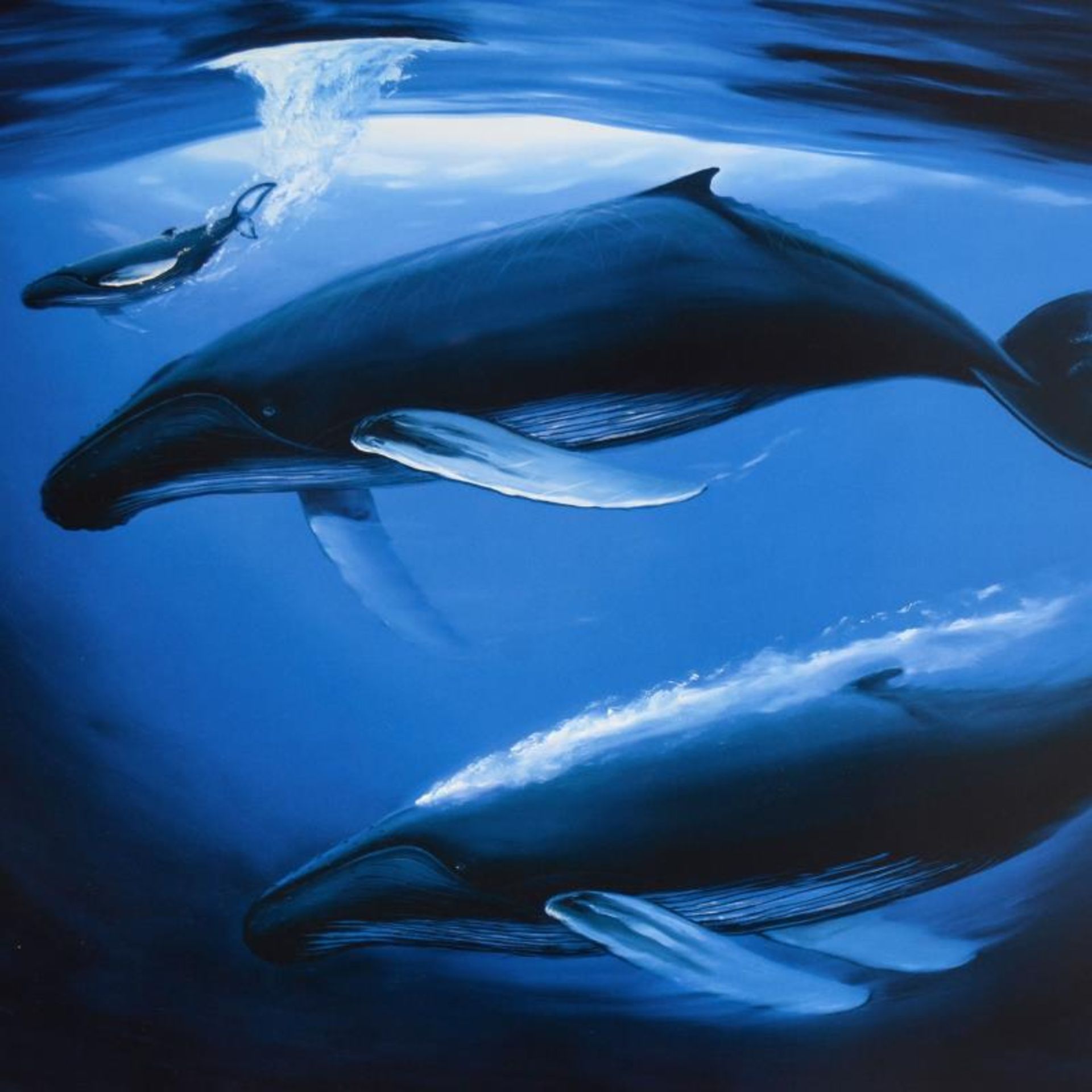 A Sea of Life by Wyland - Image 2 of 2