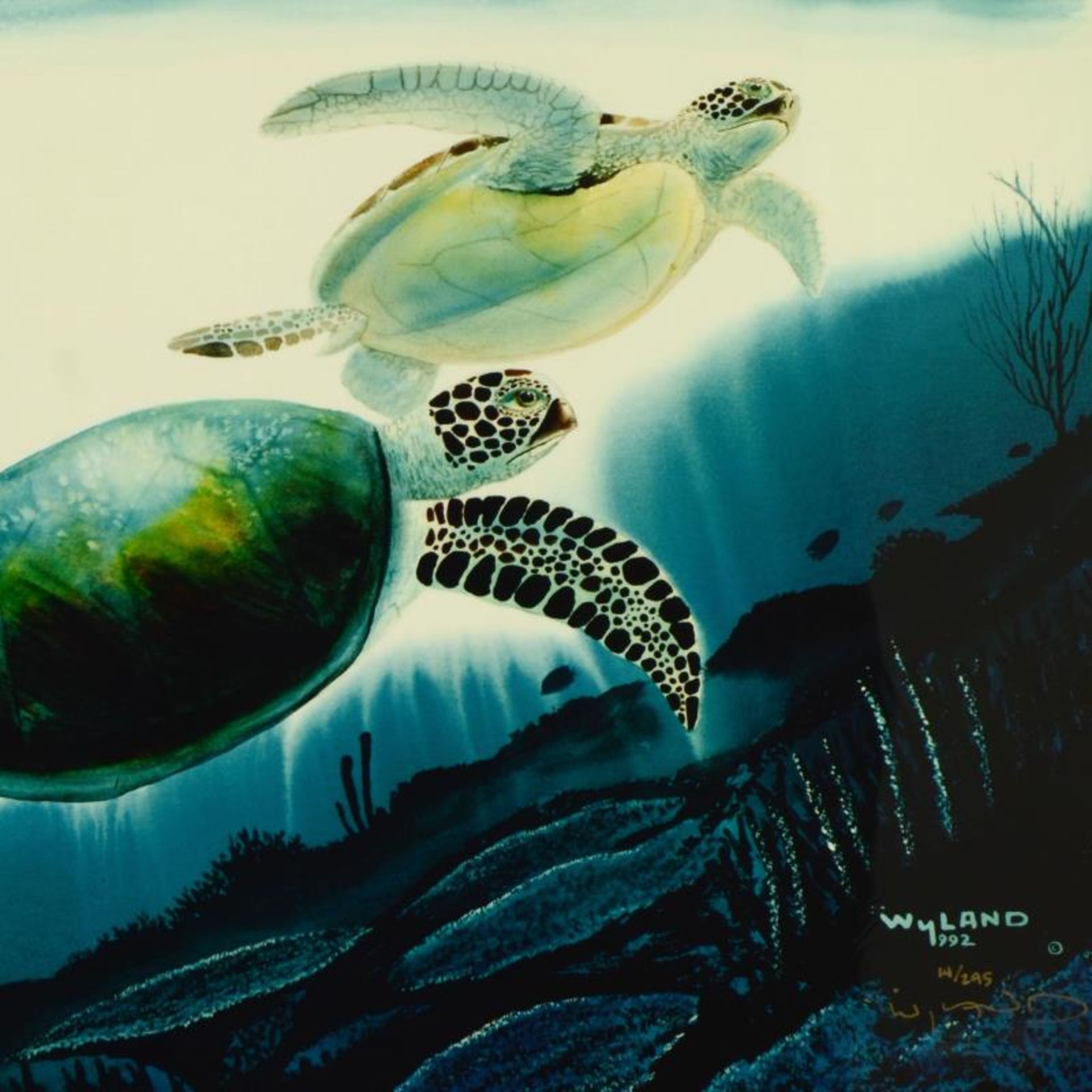 Turtle Waters by Wyland - Image 2 of 3