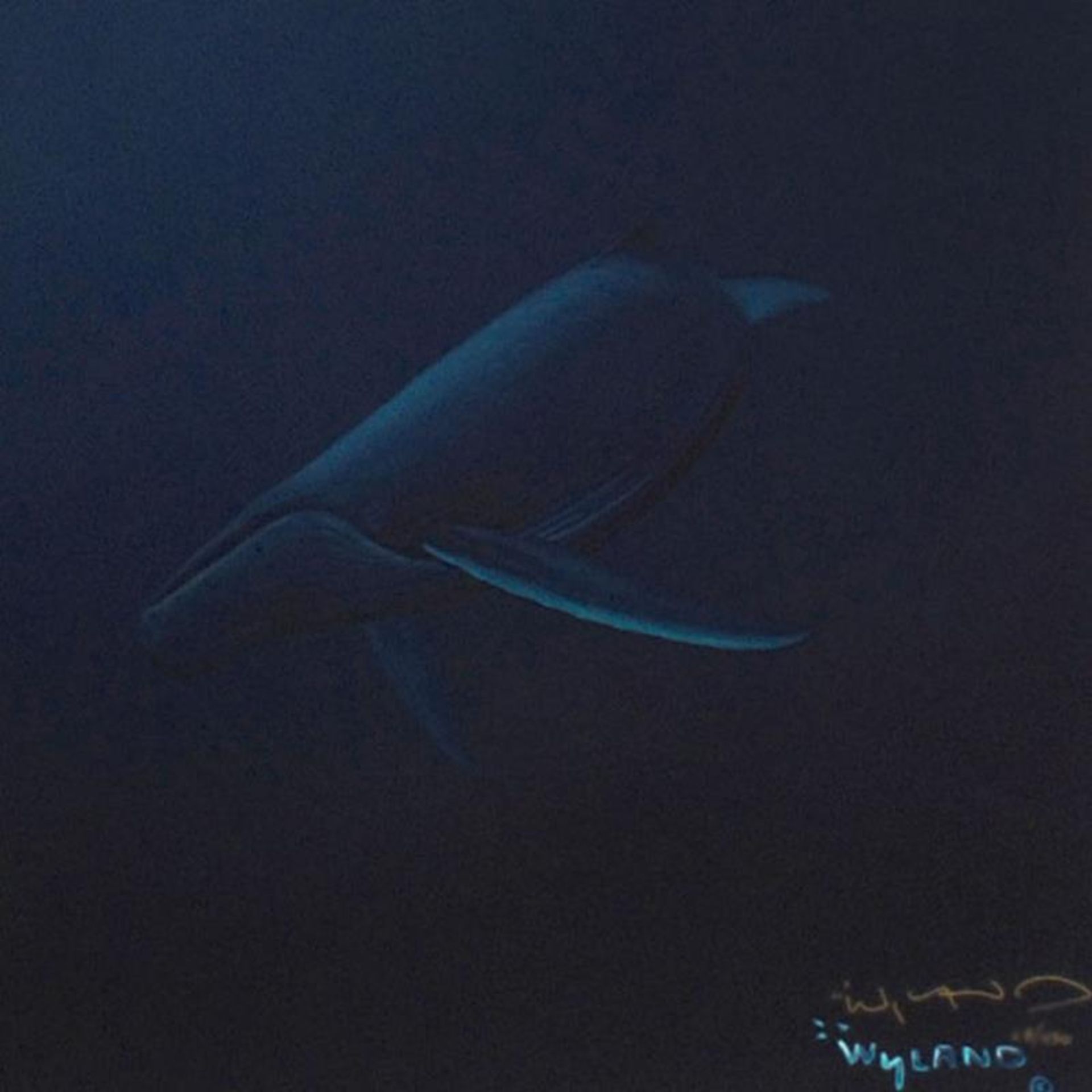 Whale Protection by Wyland - Image 3 of 3