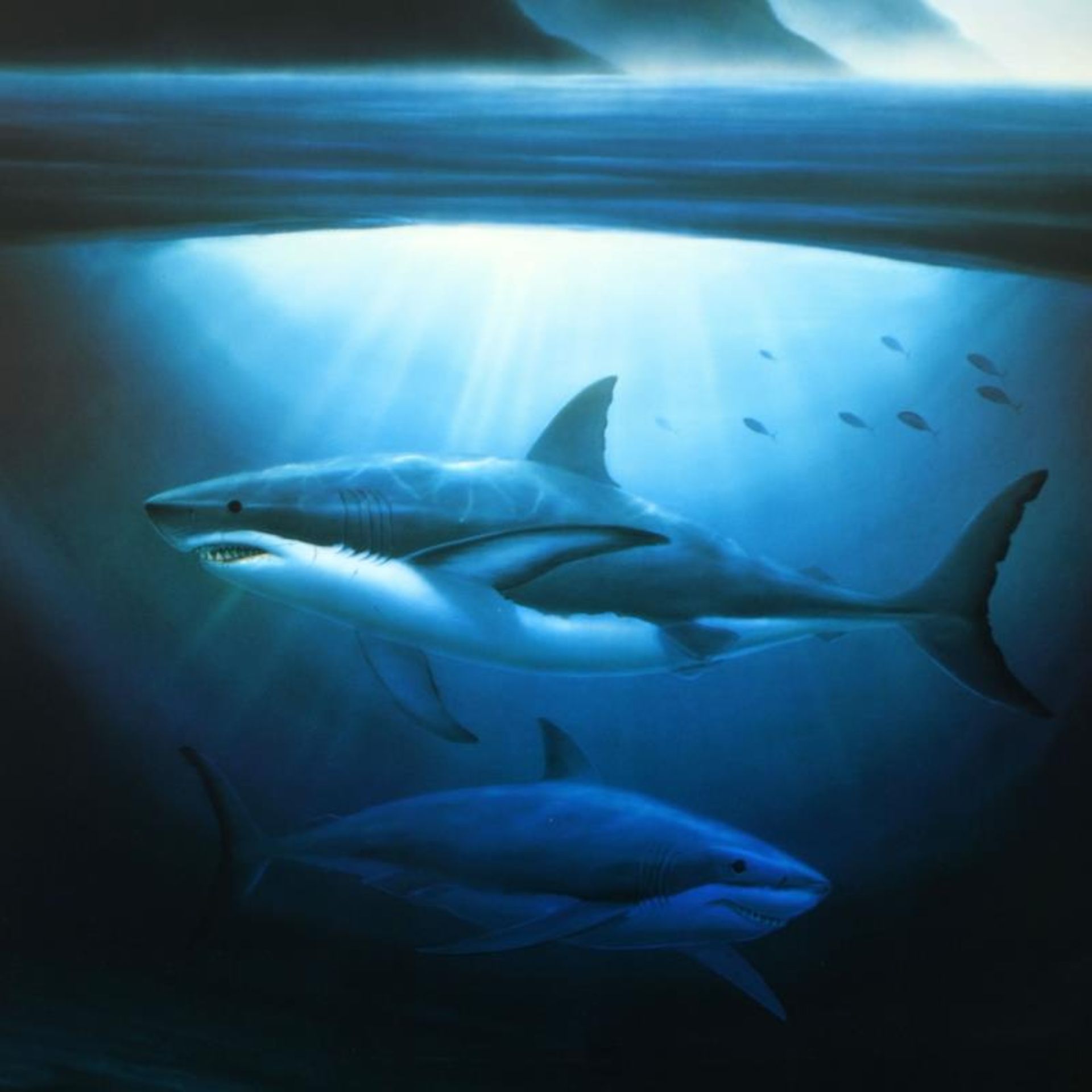 Great White Sharks by Wyland - Image 2 of 2