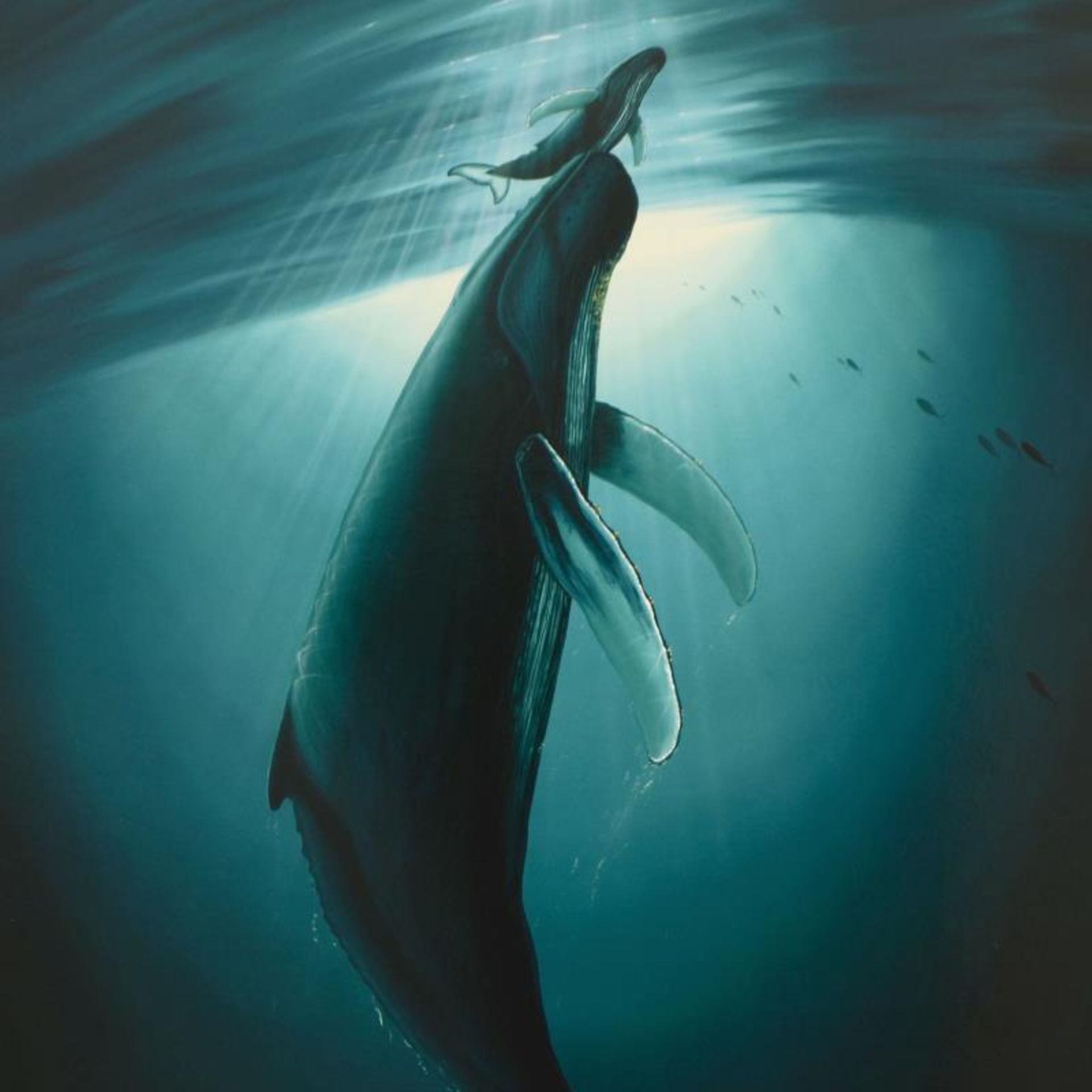 The First Breath by Wyland - Image 2 of 2