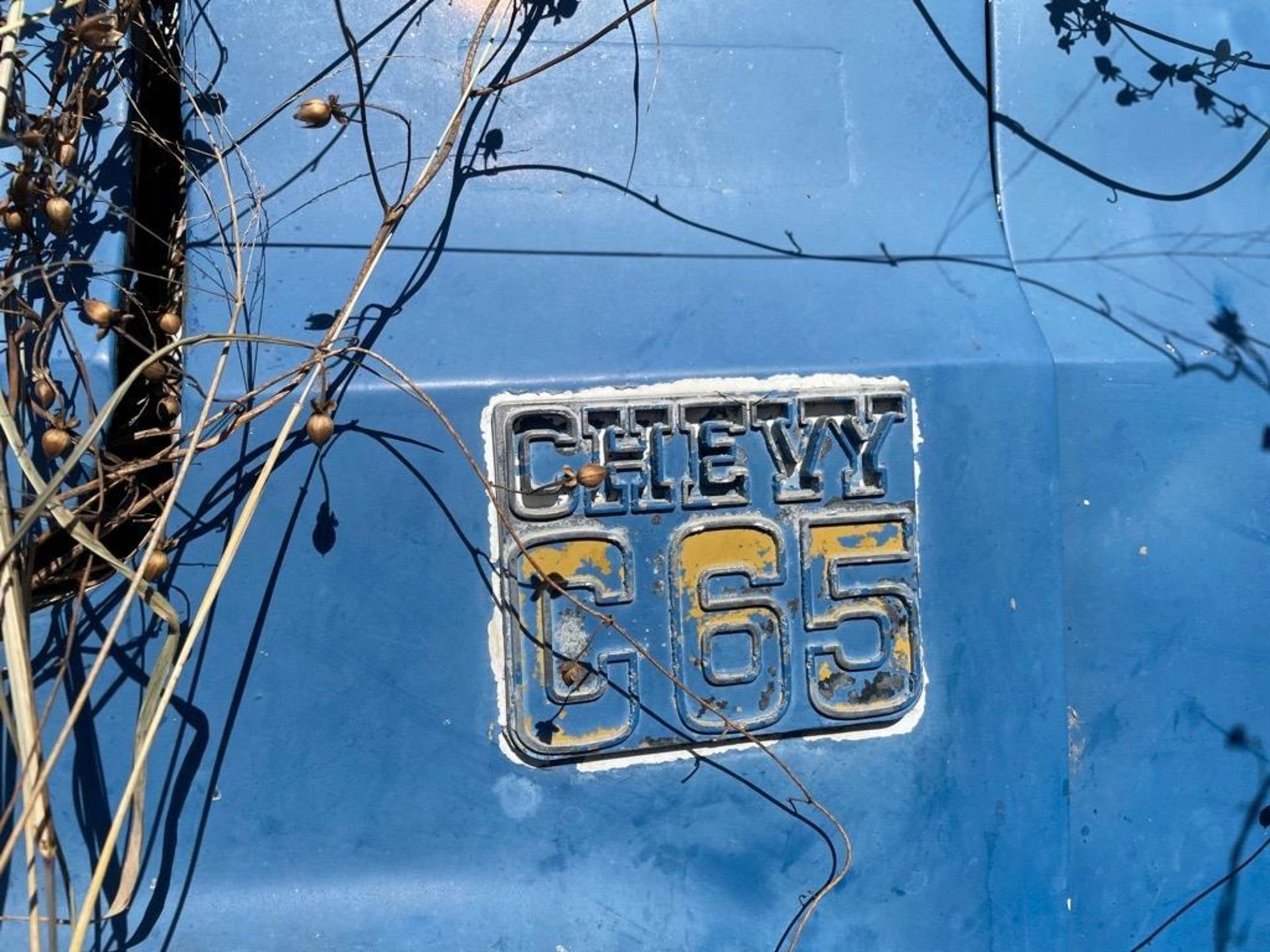 CHEVY C65 - Image 2 of 4