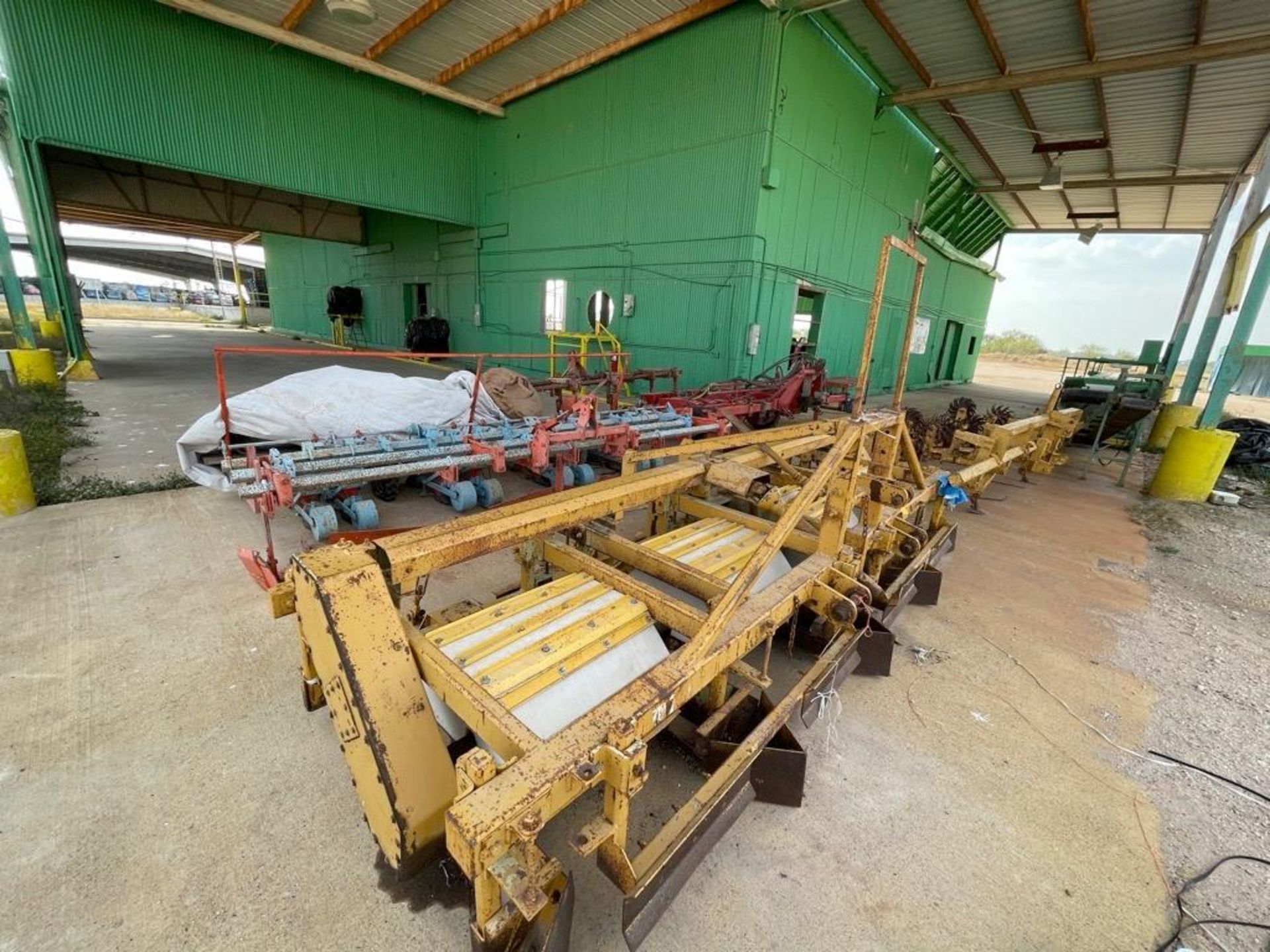 Cabbage Packing Line - Image 15 of 16