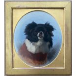 George Earl 1824-1908. British. Oil on board. “Portrait of a Pekingese Dog”