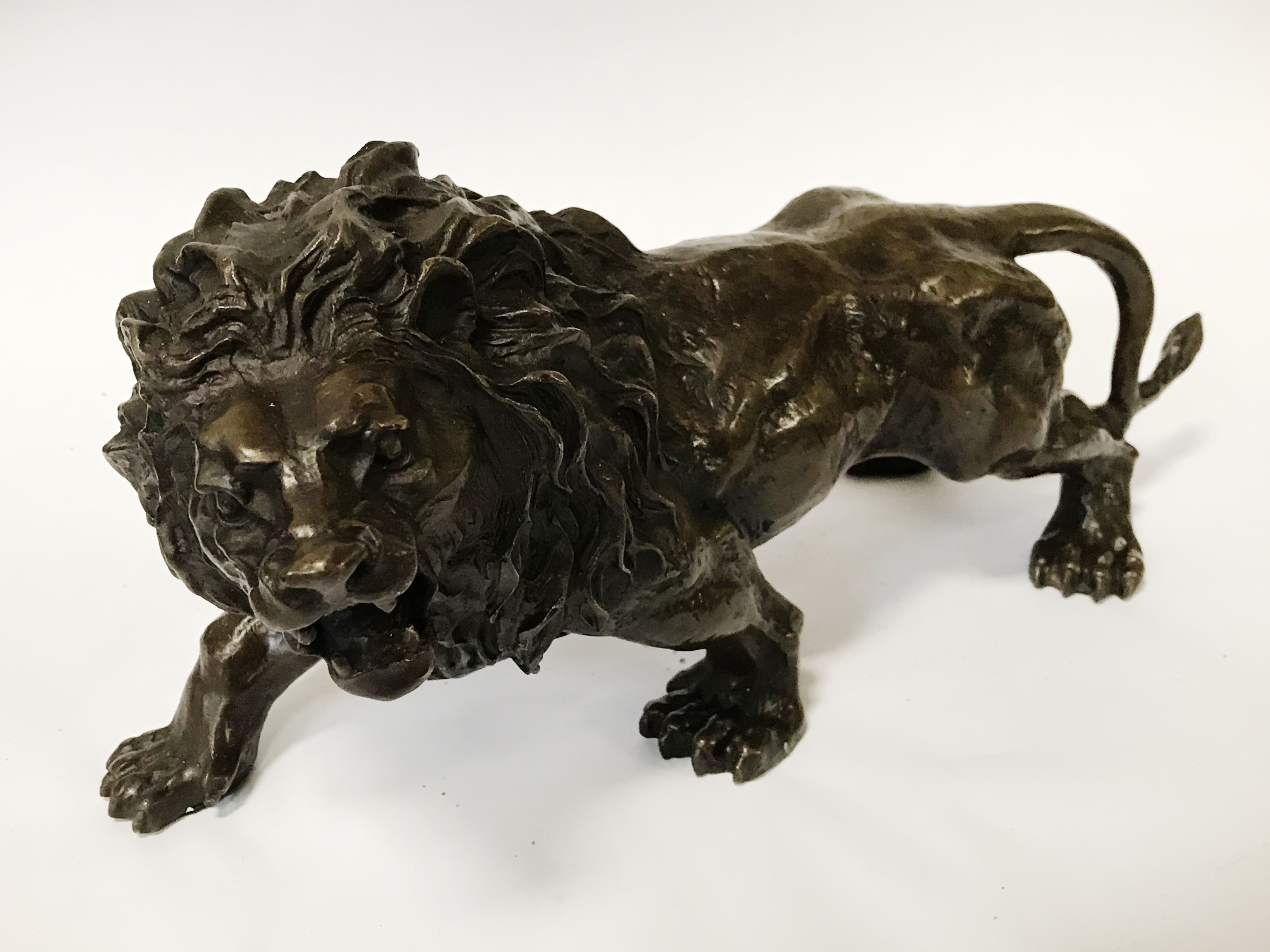 BRONZE LION - 31CMS