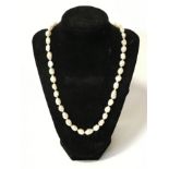 SOUTH SEA PEARL NECKLACE