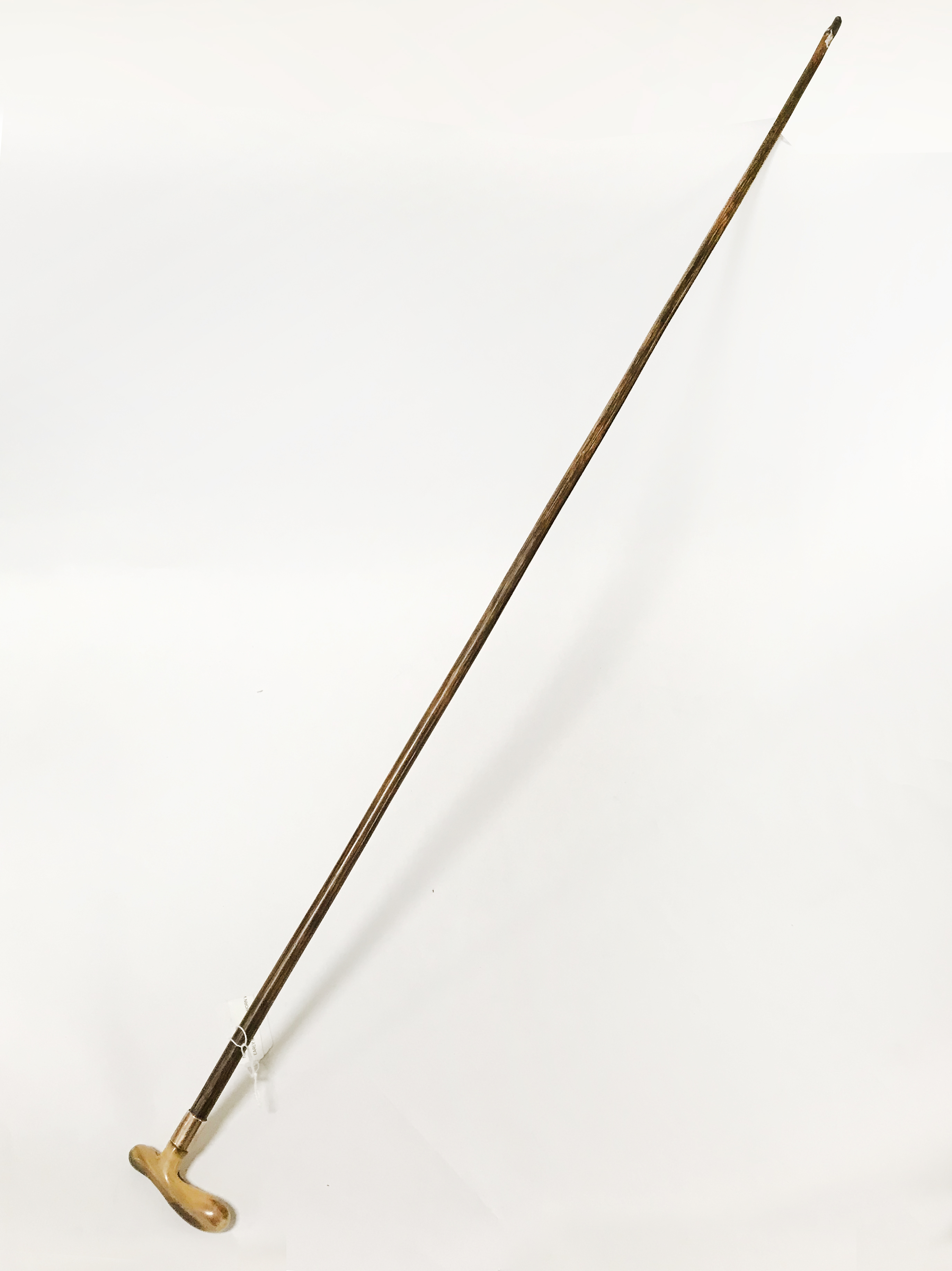 EARLY ROSEWOOD & HORN WALKING STICK WITH 9CT GOLD COLLAR