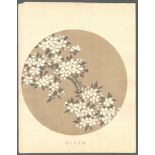 VINTAGE JAPANESE FLORAL DESIGN PRINTS