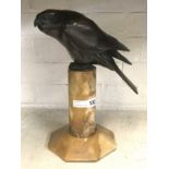 BRONZE BIRD OF PREY ON MARBLE BASE - 33 CMS (H)