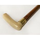VICTORIAN WALKING CANE WITH 18CT GOLD BAND - 33.5 INCHES LONG