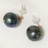 9CT GOLD LARGE TAHITIAN PEARL STUDS