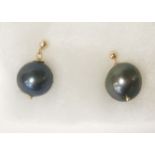 9CT GOLD TAHITAN PEARL STUDS