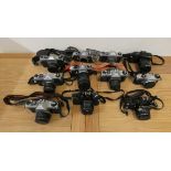 Twelve SLR Pentax camera's, to include Program A, MV1, P30, 2 x MG, MV, 3 x K1000, Spotmatic, S3 and