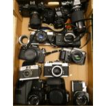 A collection of 35mm/digital cameras and camera bodies, including Ricoh KR-5, Olympus OM10, Pentax