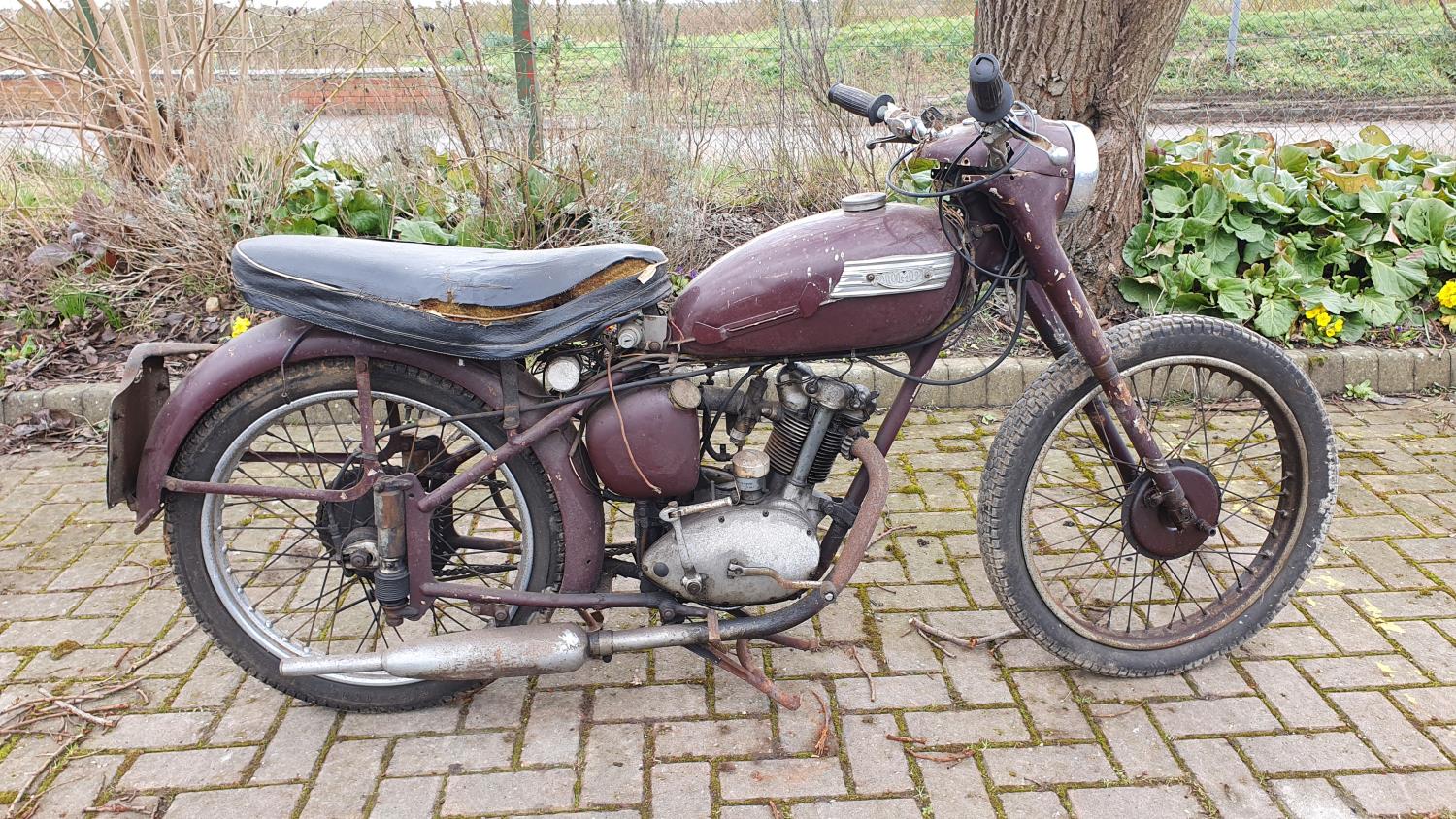 1954 Triumph Terrier, 150 cc. Registration number OVC 625 (see text). Frame number T5846. Engine