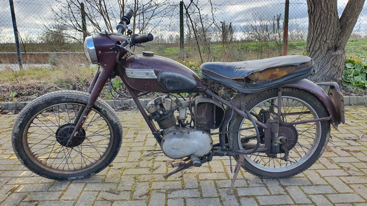 1954 Triumph Terrier, 150 cc. Registration number OVC 625 (see text). Frame number T5846. Engine - Image 2 of 12