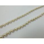 A single row graduated pearl necklace, composed of 90 beads from 7 - 3 mm, length 49 cm.