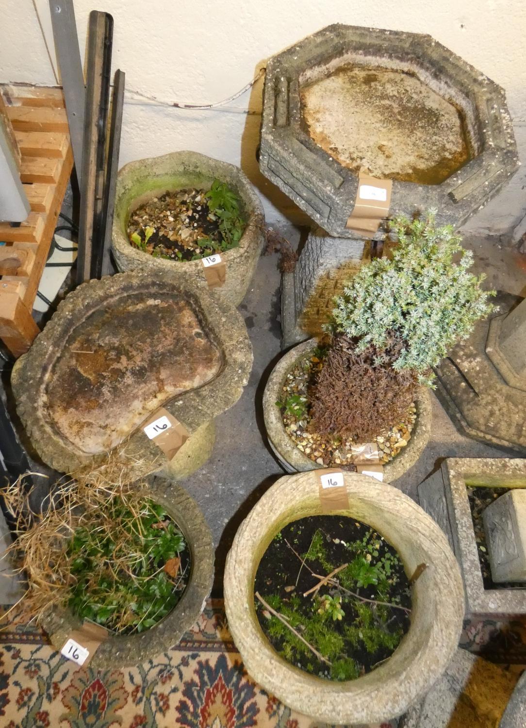 An octagonal concrete bird bath together with another and 4 circular planters (6).