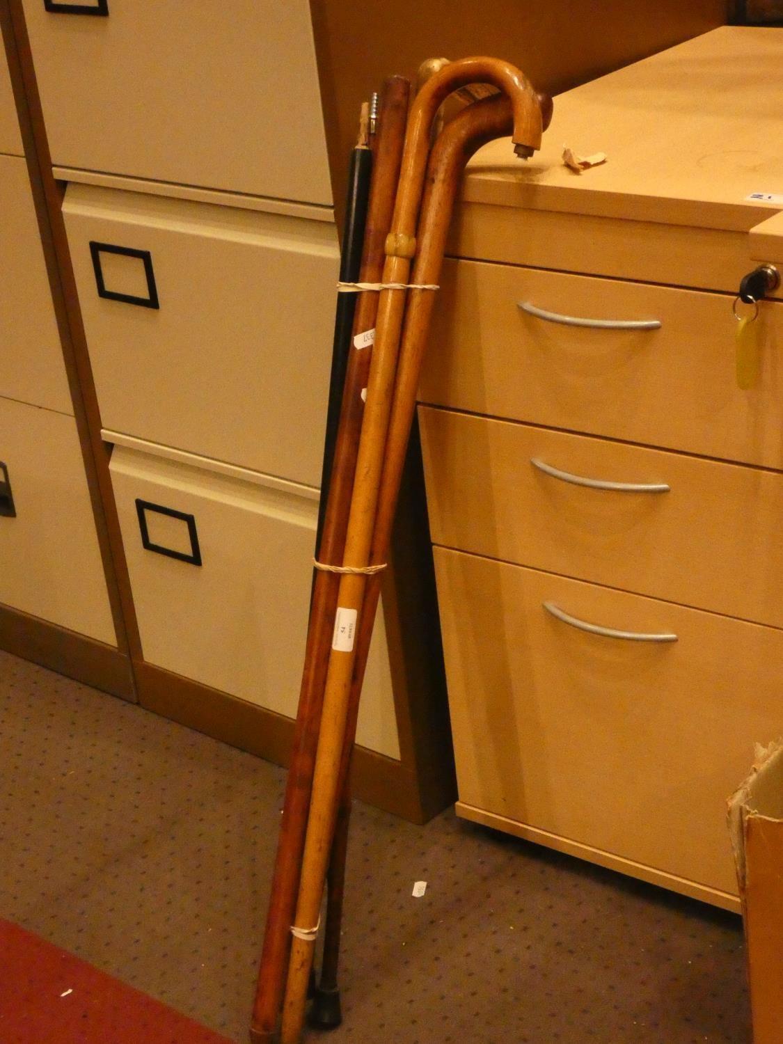 A bone handled walking stick together with a collection of various walking sticks/canes (7)