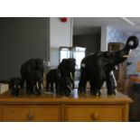 A collection of seven hand carved ebony elephants with bone tusks, measuring from 40cm tall, 45cm