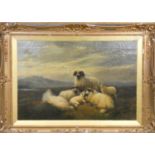 Robert Watson (1856-1916), Highland sheep on a hillside, signed and date 1876 and '78, oil on