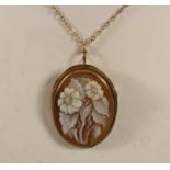 A 14K gold shell cameo brooch/pendant, chain, 3.9gm